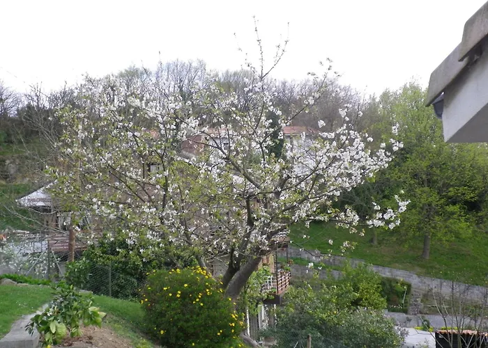 Casa rural Higeralde Hondarribia